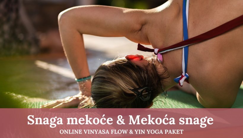 Vinyasa & Yin Yoga – Igra snage i mekoće