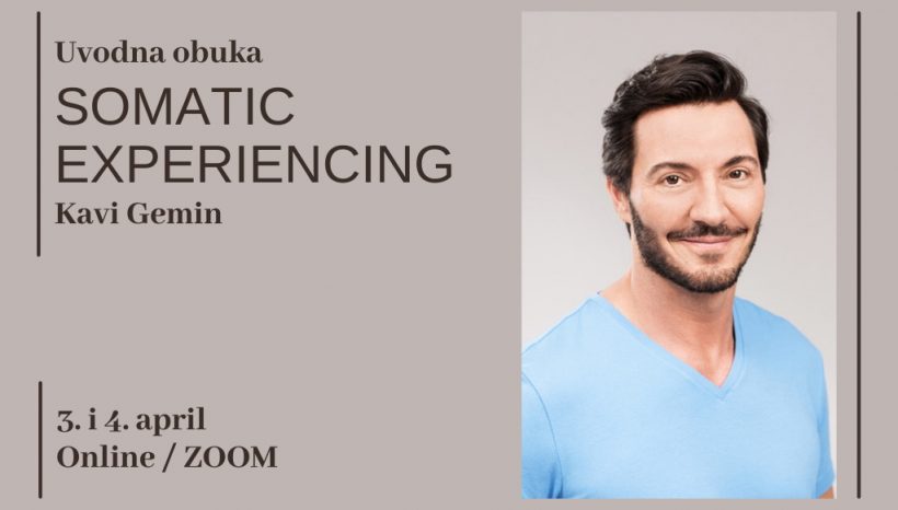 SOMATIC EXPERIENCING – Introductory training with KAVI GEMIN
