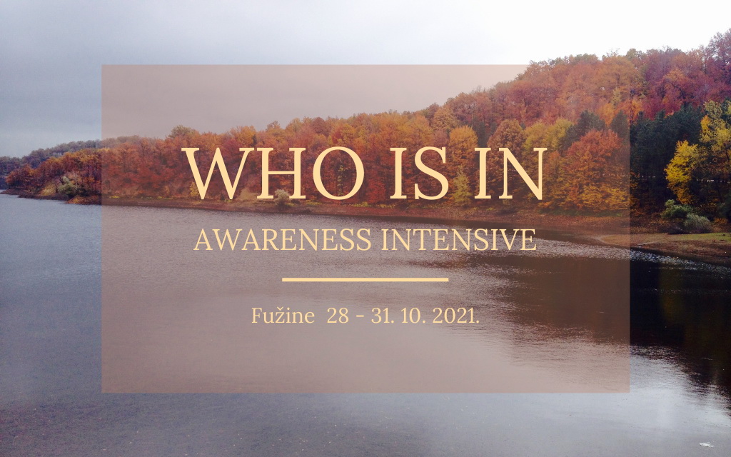WHO IS IN – Awareness intensive