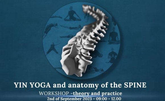 YIN YOGA AND ANATOMY OF THE SPINE – 3-hour workshop (theory and practice)