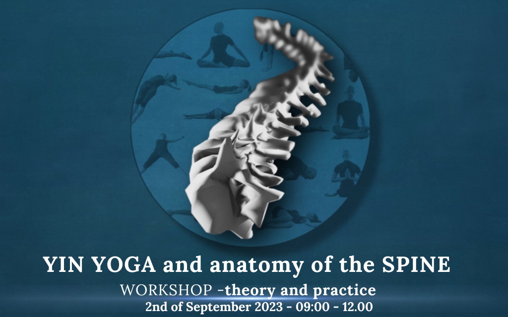 YIN YOGA AND ANATOMY OF THE SPINE – 3-hour workshop (theory and practice)