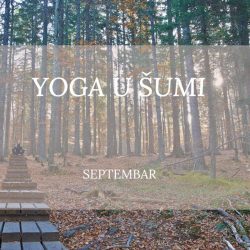 Hatha yoga u šumi i tokom septembra!