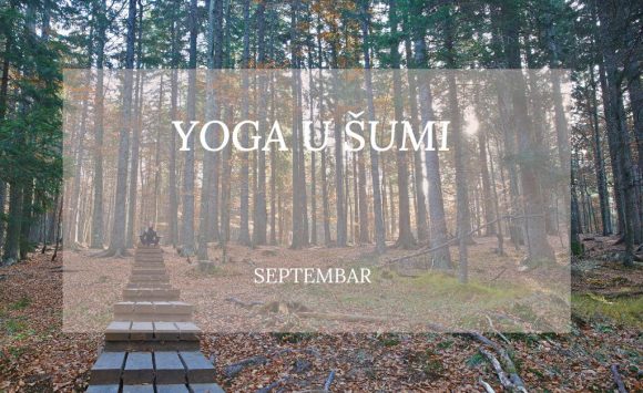 Hatha yoga u šumi i tokom septembra!