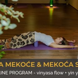 Igra snage i mekoće – Onlajn program vinyasa & yin yoge