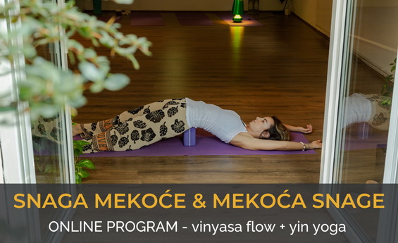 Igra snage i mekoće – Onlajn program vinyasa & yin yoge