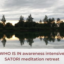 WHO IS IN Awareness Intensive & SATORI Meditation Retreat