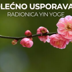 Prolećno usporavanje – radionica Yin joge