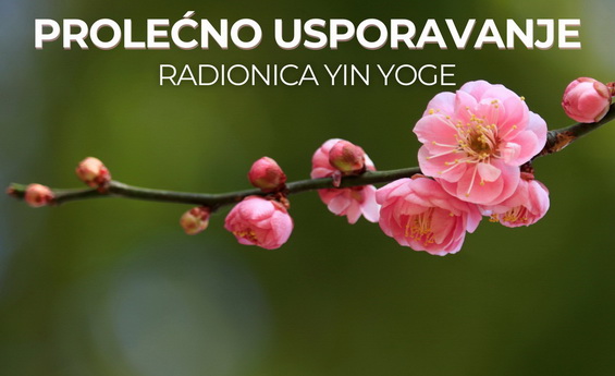 Prolećno usporavanje – radionica Yin joge
