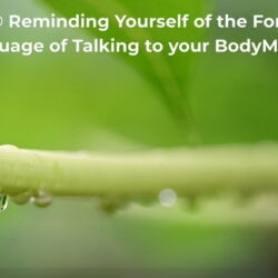 OSHO® Reminding Yourself of the Forgotten Language of Talking to your BodyMind™