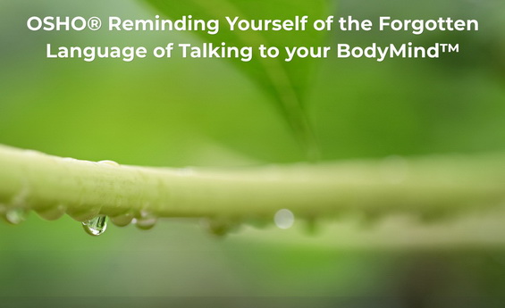 OSHO® Reminding Yourself of the Forgotten Language of Talking to your BodyMind™