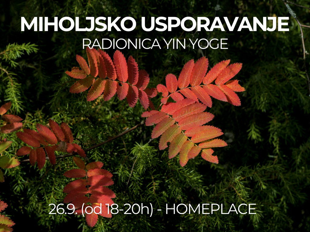 MIHOLJSKO USPORAVANJE - Radionica Yin joge