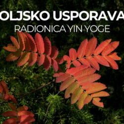 Miholjsko usporavanje – radionica Yin joge