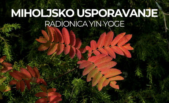 Miholjsko usporavanje – radionica Yin joge